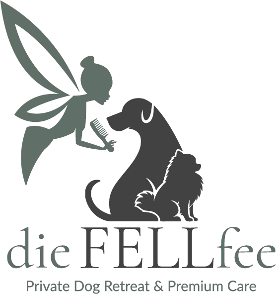 LOGO-Fellfee_V1_2026